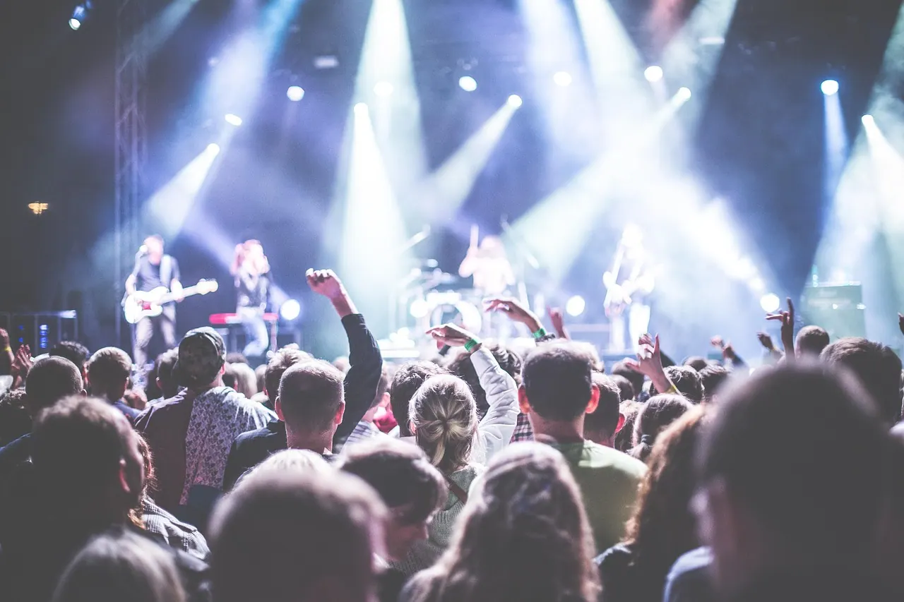 The volume's too much. How do I use earplugs? — Pixabay