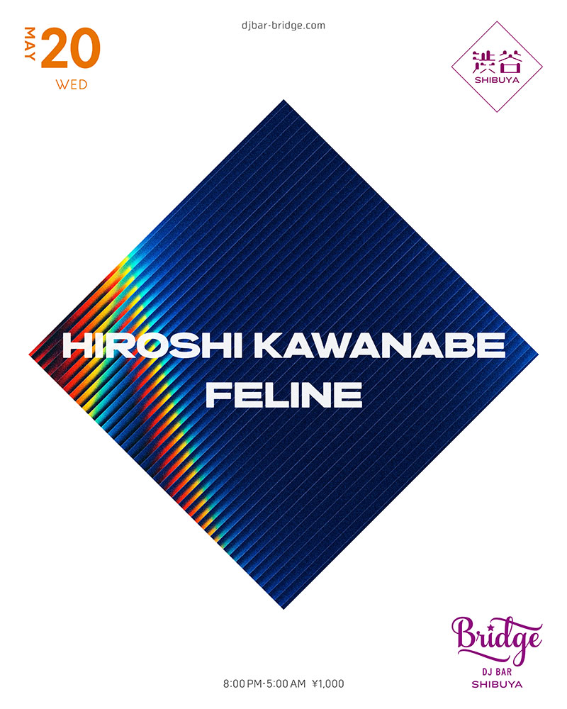 HIROSHI KAWANABE / FELINE flyer